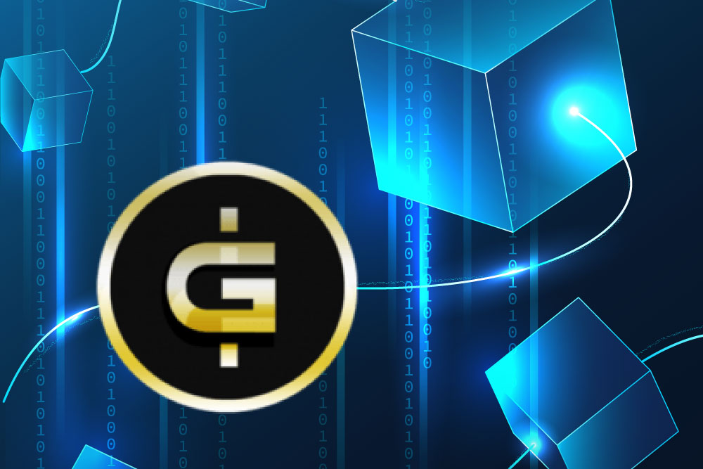 The Case For Guapcoin